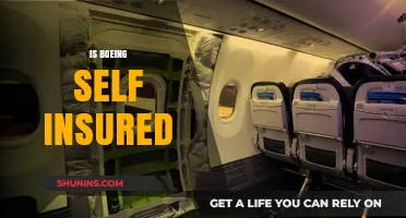 Is Boeing Self-Insured? Uncovering the Aviation Giant's Risk Management Strategy