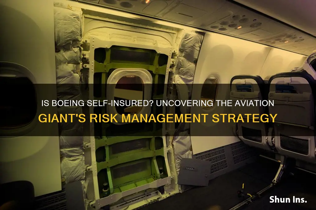 is boeing self insured
