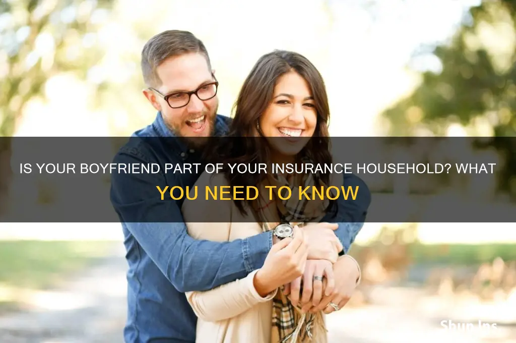 is boyfriend part of insurance household
