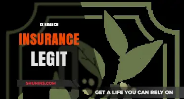 Is Branch Insurance Legit? Uncovering the Truth About Their Services