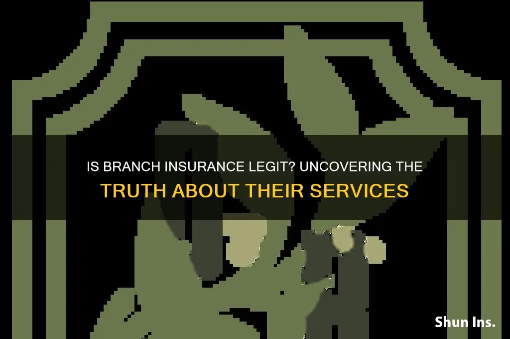 is branch insurance legit