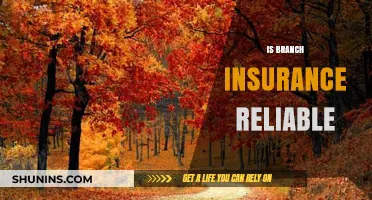 Is Branch Insurance Reliable? A Comprehensive Review and Analysis
