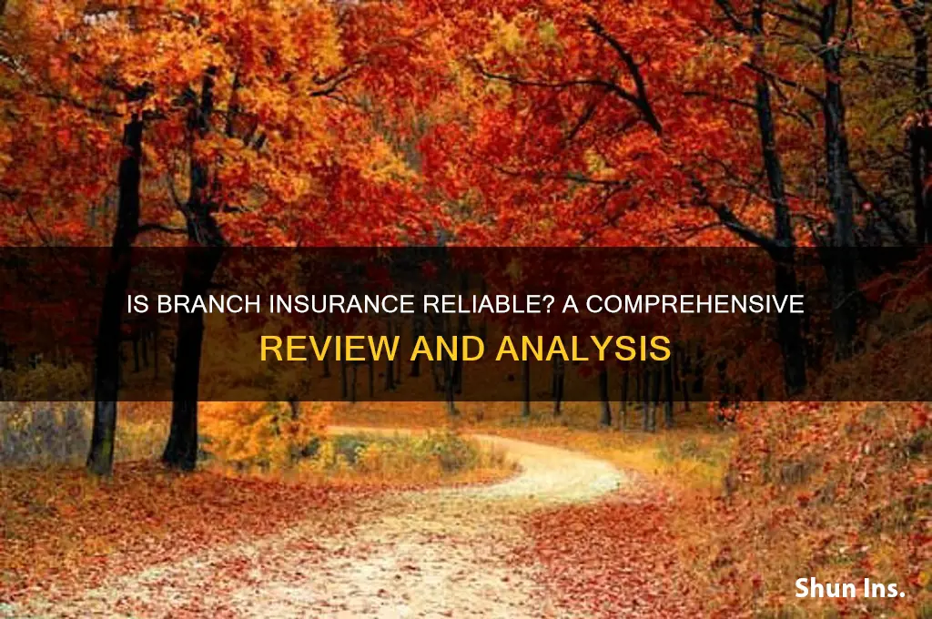 is branch insurance reliable