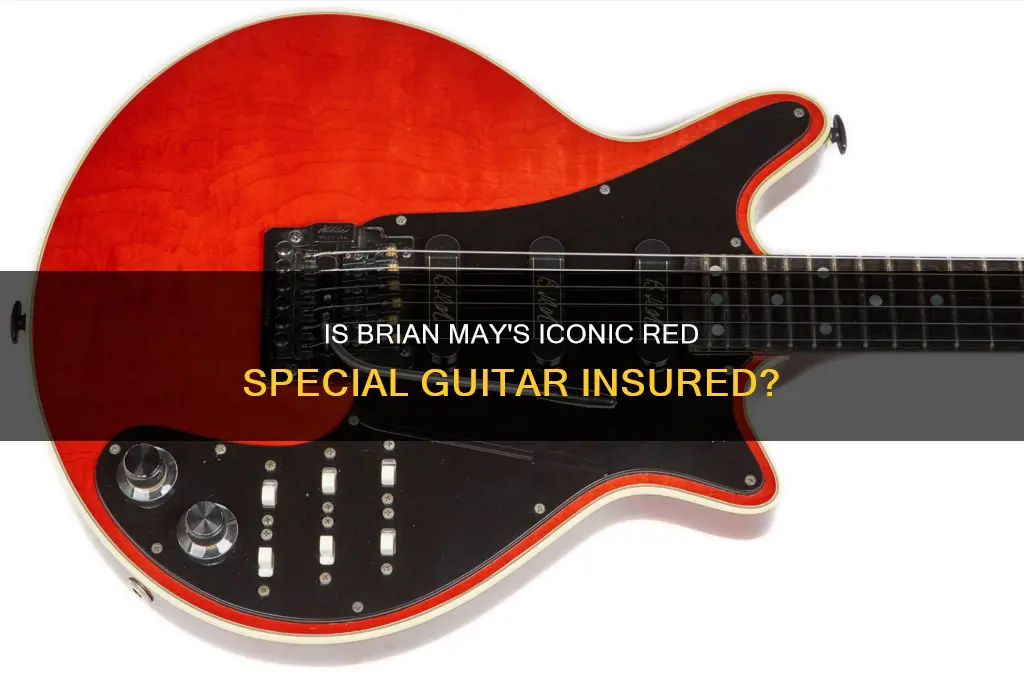 is brian may