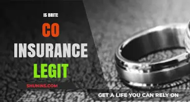 Is Brite Co Insurance Legit? A Comprehensive Review and Analysis
