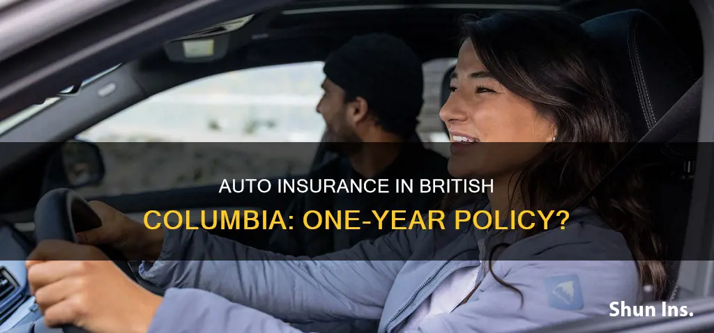 is british columbia auto insurance for one year