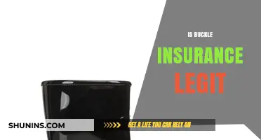 Is Buckle Insurance Legit? Uncovering the Truth About Their Services