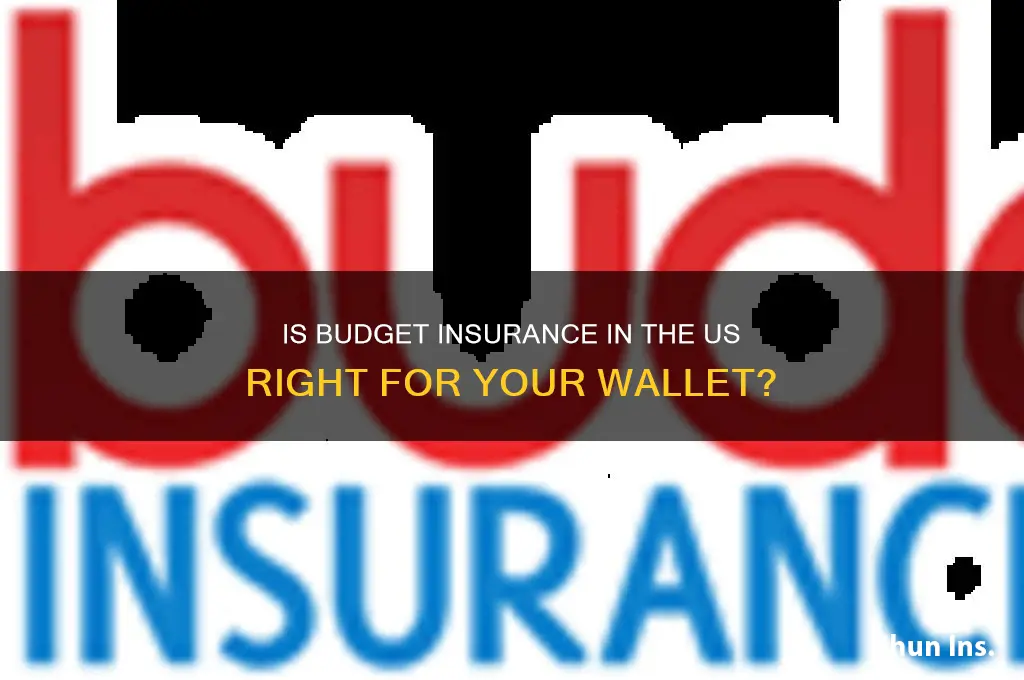 is budget insurance in the us