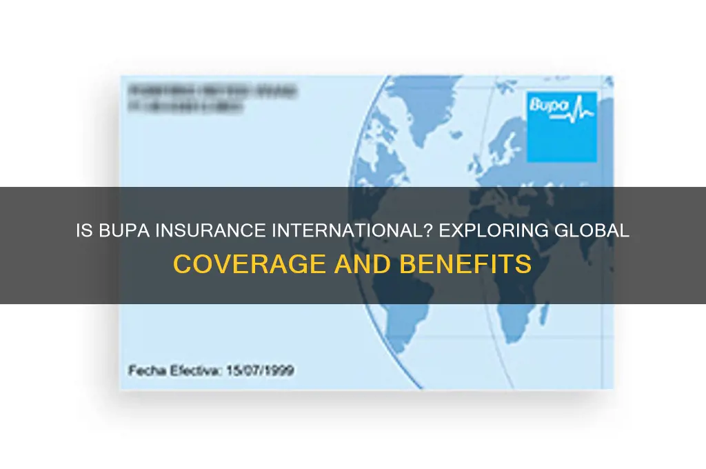 is bupa insurance international