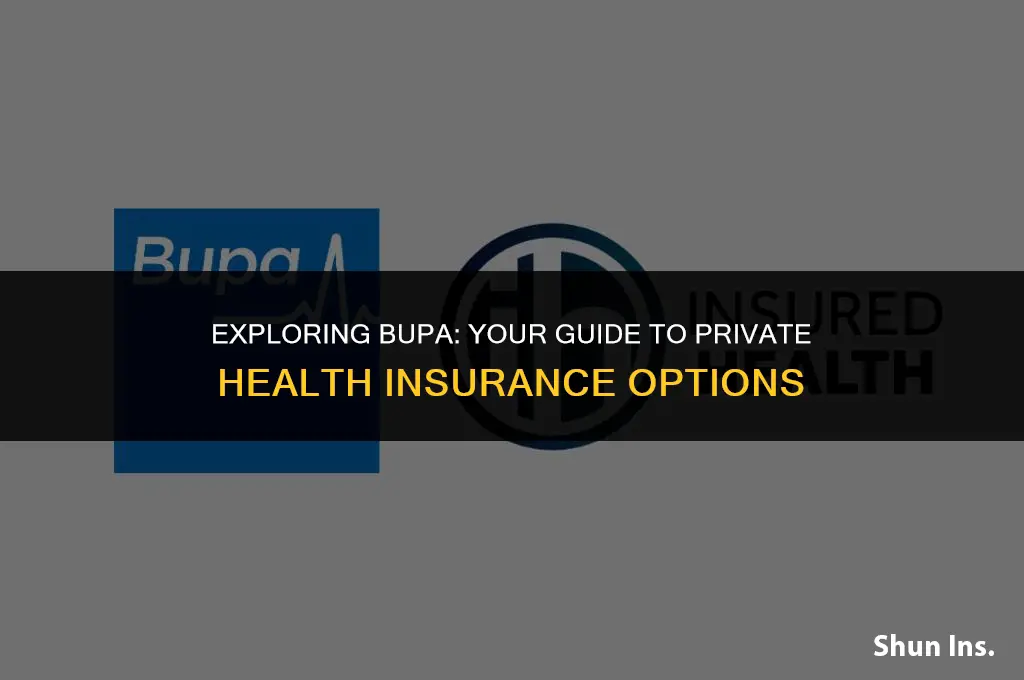 is bupa private health insurance