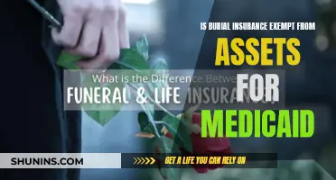 How Burial Insurance Protects Your Medicaid Assets