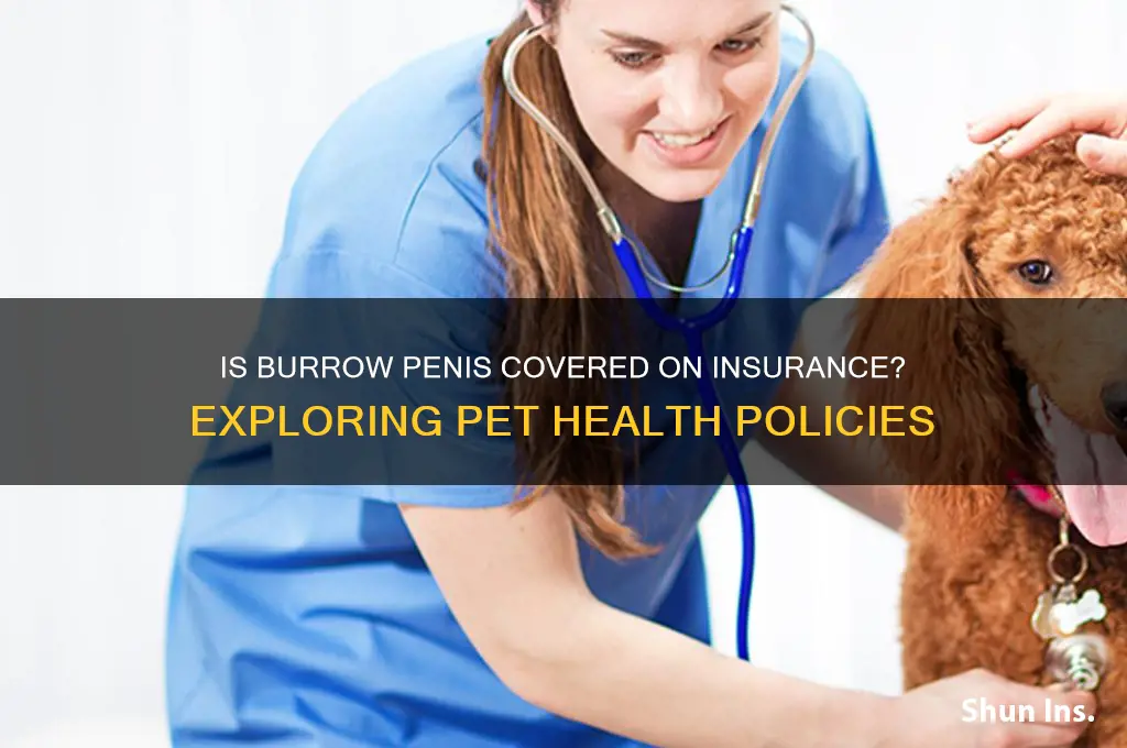 is burrow penis coverd on insurance