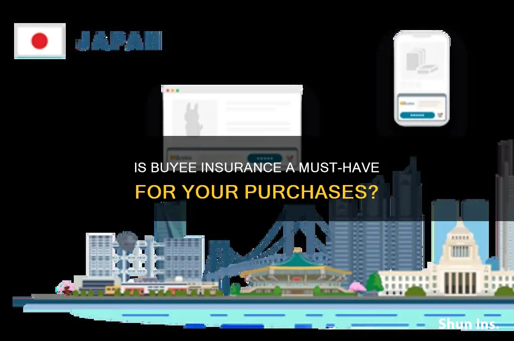 is buyee insurance necessary