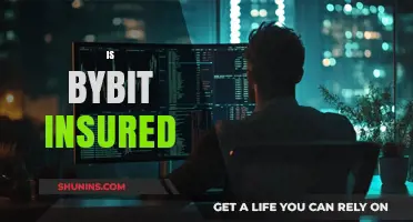 Is Bybit Insured? Exploring User Protection and Security Measures