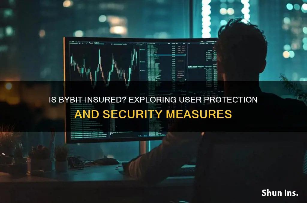 is bybit insured