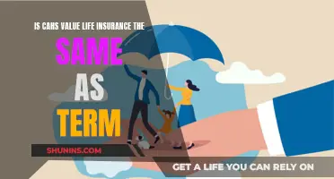 Cahs Value Life Insurance: Term's Twin or Different?