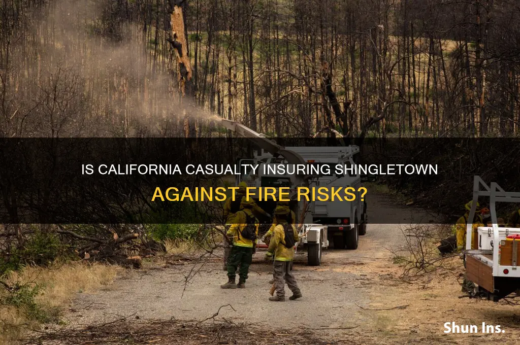 is california casuality insuring shingletown for fire