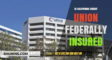 Credit Union Deposits: Are They Safe?