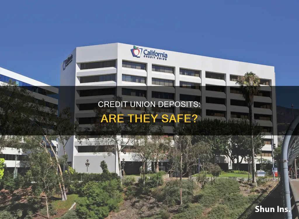 is california credit union federally insured