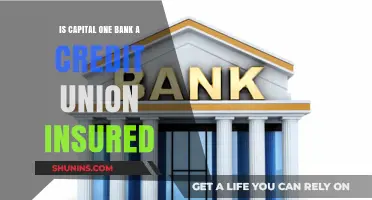 Capital One: Bank or Credit Union?