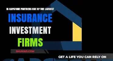 Is Capstone Partners a Leading Insurance Investment Firm?