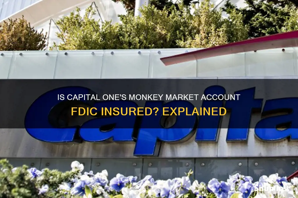 is captail one moneky market insured