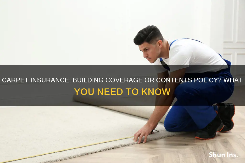 is carpet building or contents insurance