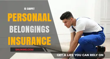 Is Your Carpet Covered? Understanding Personal Belongings Insurance Policies