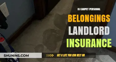 Carpet Damage: Is It Covered Under Landlord Insurance or Tenant Responsibility?