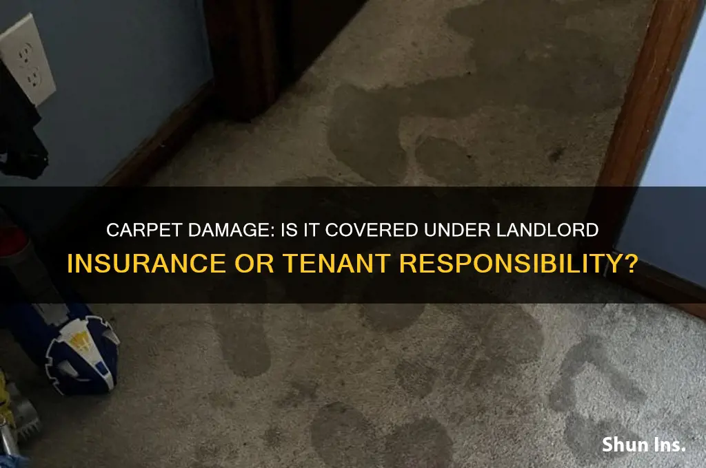 is carpet personal belongings landlord insurance