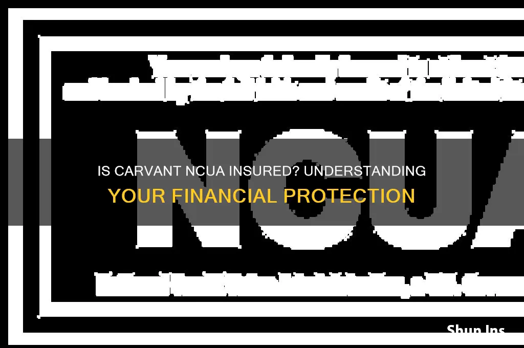 is carvant ncua insured