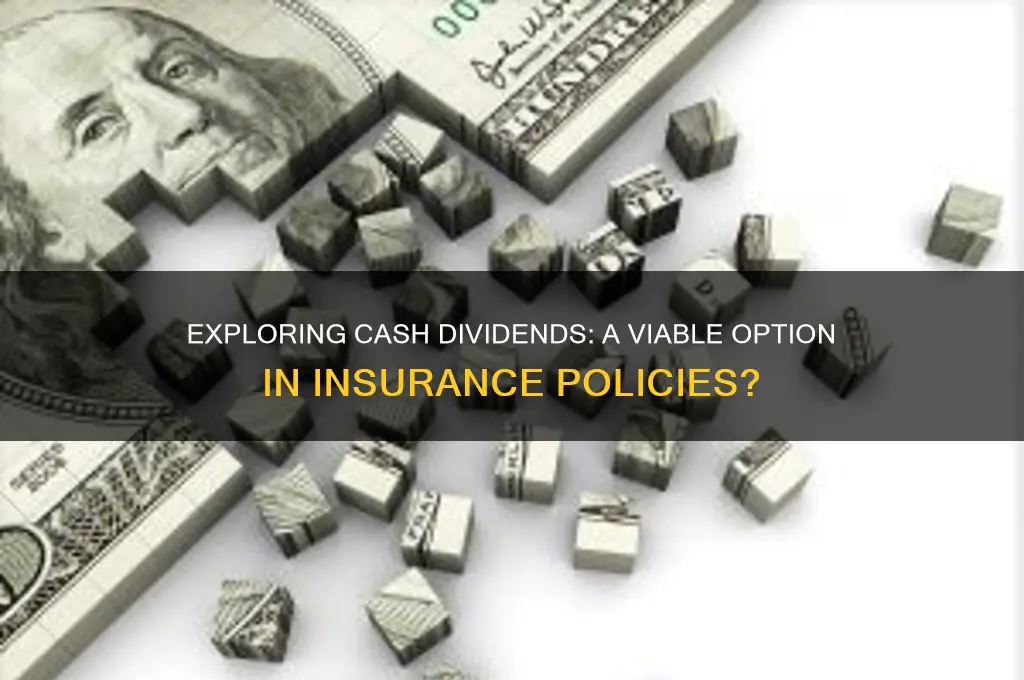 is cash a dividend option in insurance