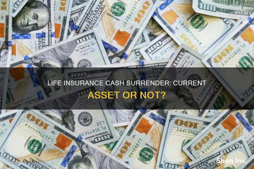 is cash surrender of life insurance a current asset