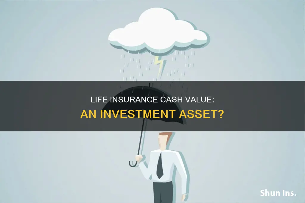 is cash value in life insurance an in investment asset