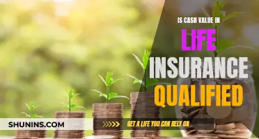 Life Insurance Cash Value: Is It Qualified Money?