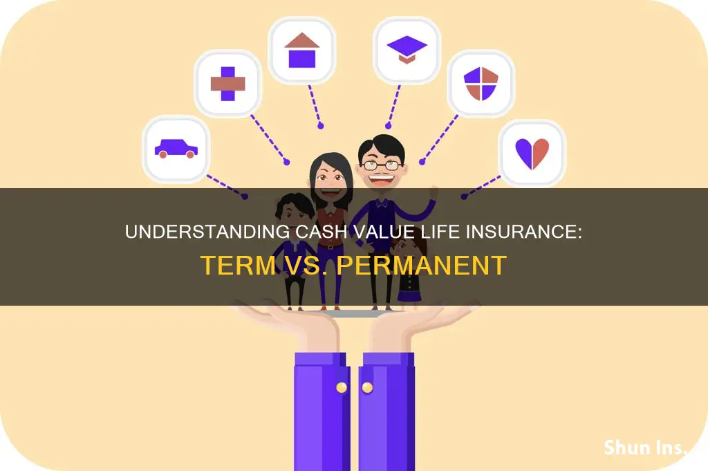 is cash value life insurance term or permanent