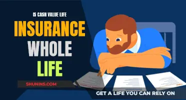 Understanding Whole Life Insurance and Its Cash Value