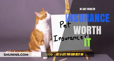 Feline Wellness: Weighing the Benefits of Cat Health Insurance