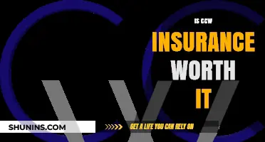CCW Insurance: Is It Worth the Cost?