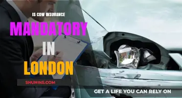 Is CDW Insurance Mandatory in London? Essential Rental Car Coverage Explained
