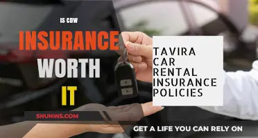 CDW Insurance: Worth the Cost?