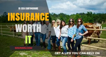 Earthquake Insurance: Is CEA Coverage Worth the Cost?