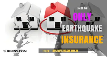CEA and Beyond: Exploring Earthquake Insurance Options for Homeowners
