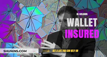 Is Celsius Wallet Insured? Understanding User Protection and Risks