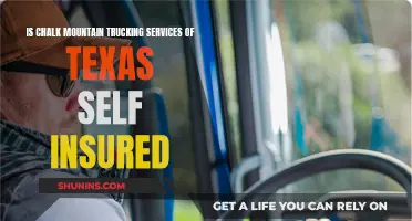 Chalk Mountain's Self-Insurance: A Deep Dive Into Texas Trucking's ...