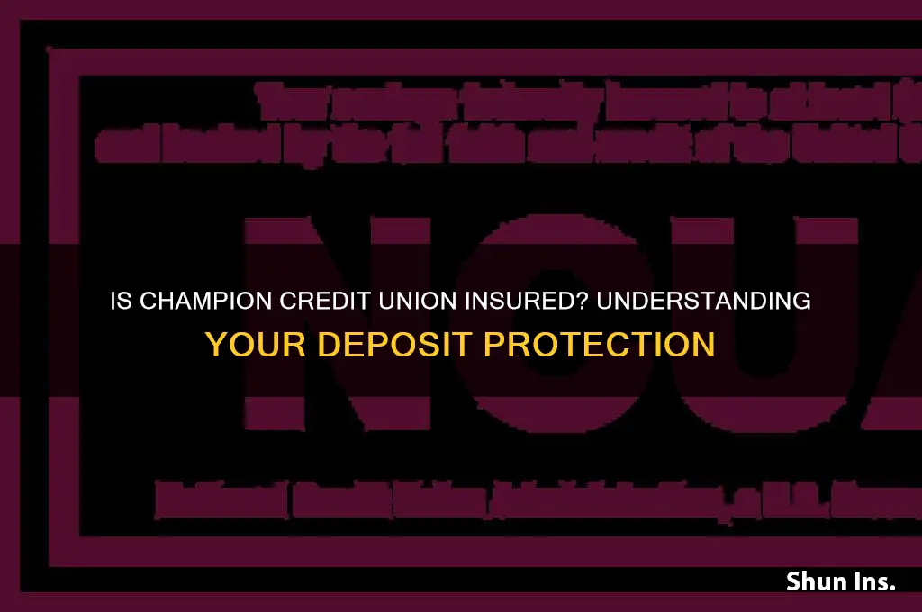 is champion credit union insured