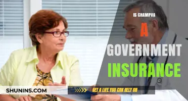 Is CHAMPVA a Government Insurance? Understanding Your Coverage Options