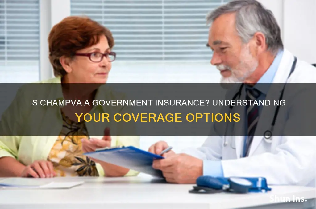is champva a government insurance