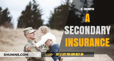 Understanding CHAMPVA: Is It Secondary Insurance for Veterans' Families?