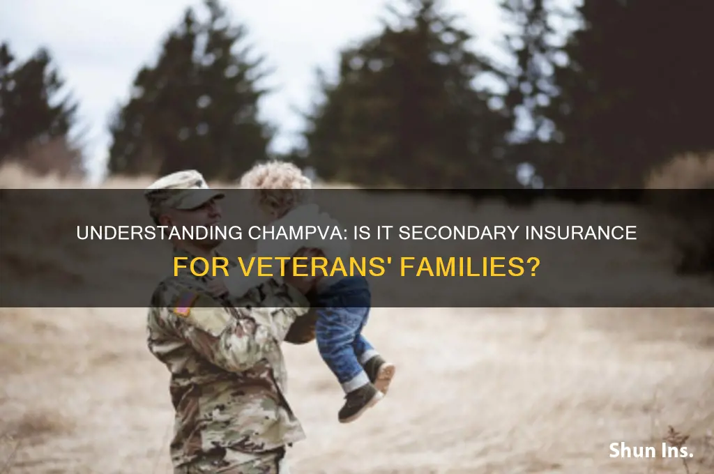 is champva a secondary insurance